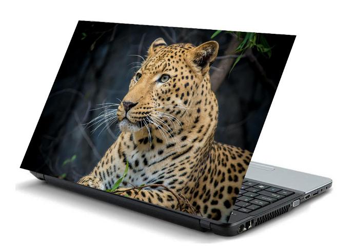 A010 leopard