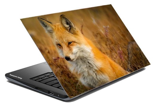 A008 fox - (SOLD OUT)